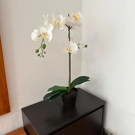 Apartamento Bellavista Dm Private Pool