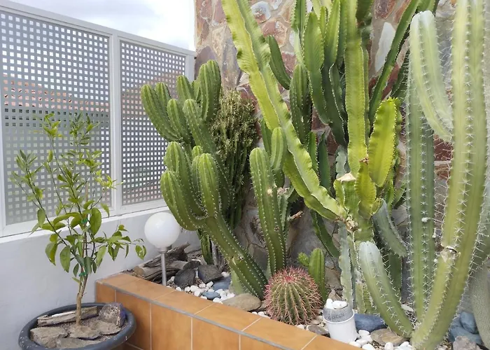 Appartement Bellavista Dm Private Pool San Bartolomé