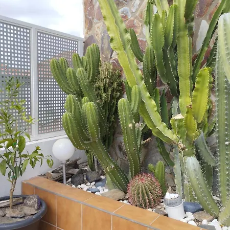 Apartment Bellavista Dm Private Pool San Bartolome de Tirajana (Gran Canaria)